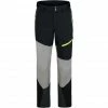Ziener Talinis Ski Pants Men stone grey